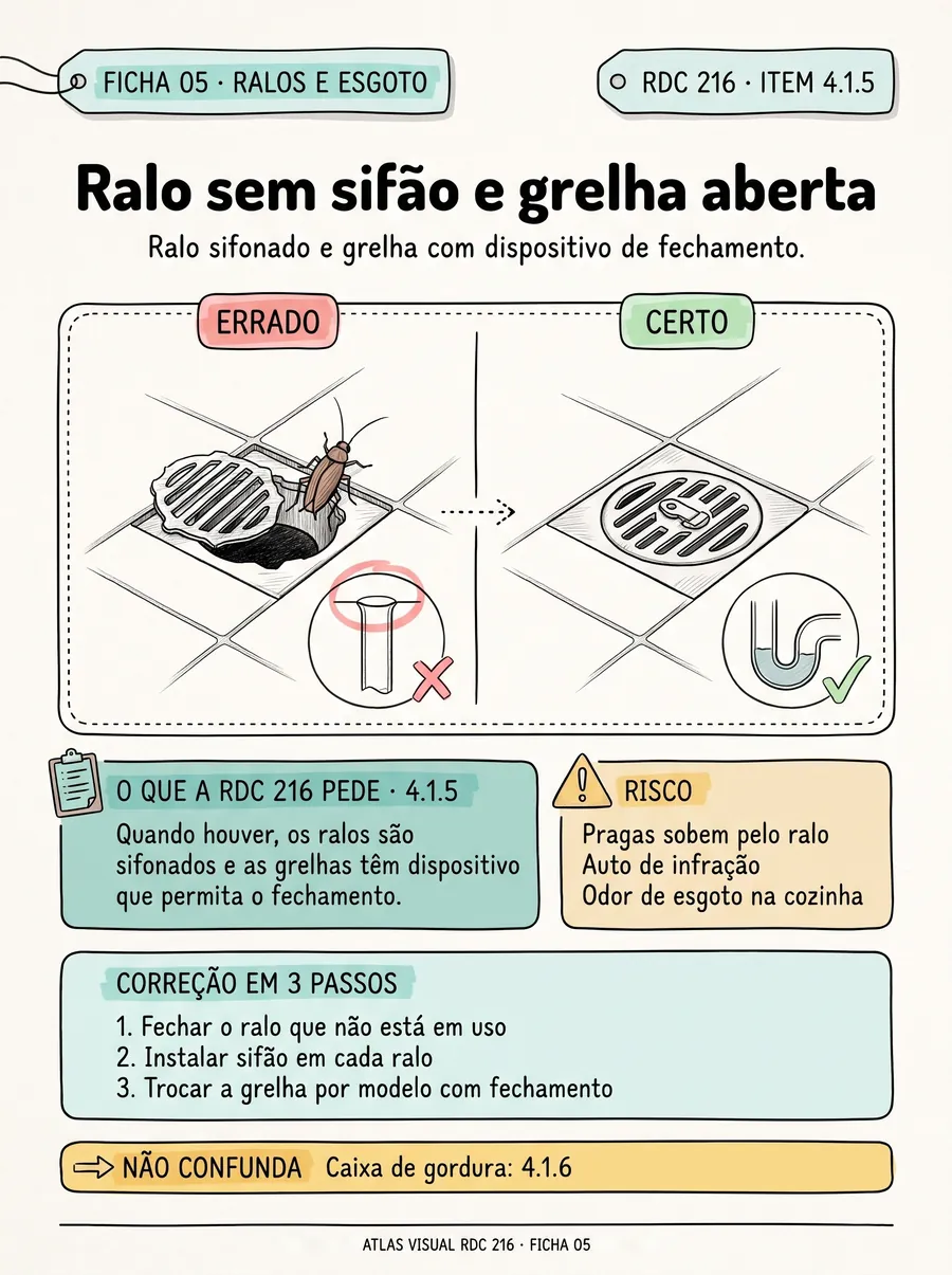 Ficha 05: ralo aberto, sem sifão